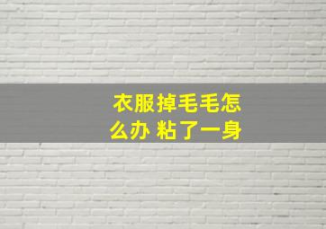 衣服掉毛毛怎么办 粘了一身